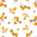 Vector floral seamless pattern with sea Ã¢â¬â¹Ã¢â¬â¹buckthorn and leaves.